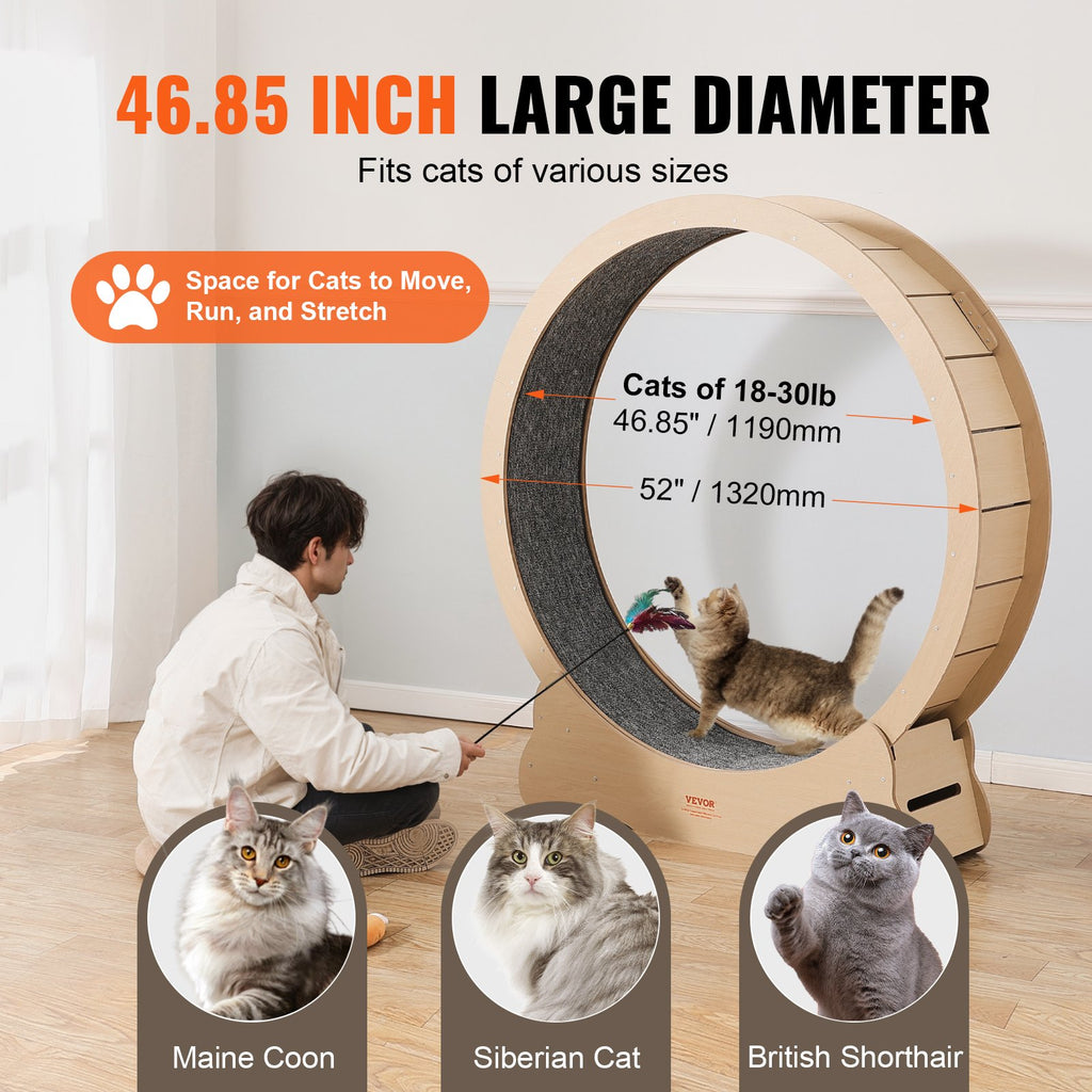 Wooden Cat Exercise Wheel 52" Large Cat Treadmill for Indoor Cats - Quiet & Durable Fitness Furniture